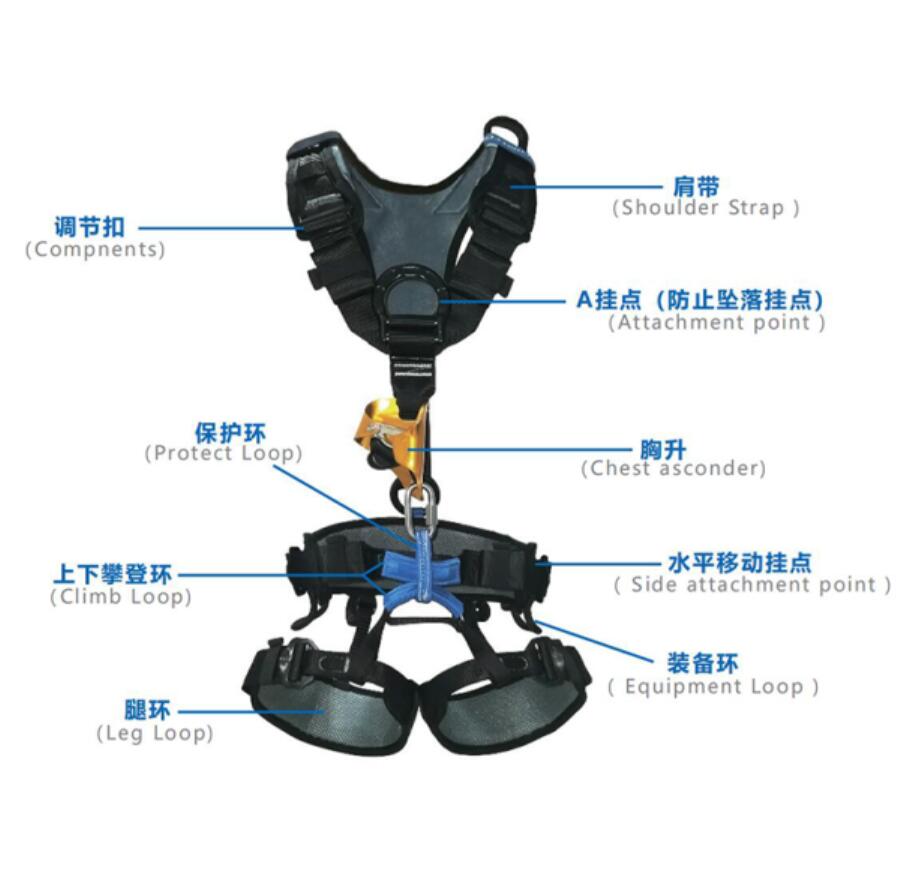 安全帶 安全帶